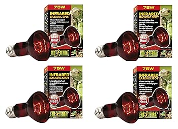 EXO TERRA HEATING TOP M、EASY GLO THERMO EXO TERRA HEATING TOP M、EASY GLO THERMO Amazon.com : Exo