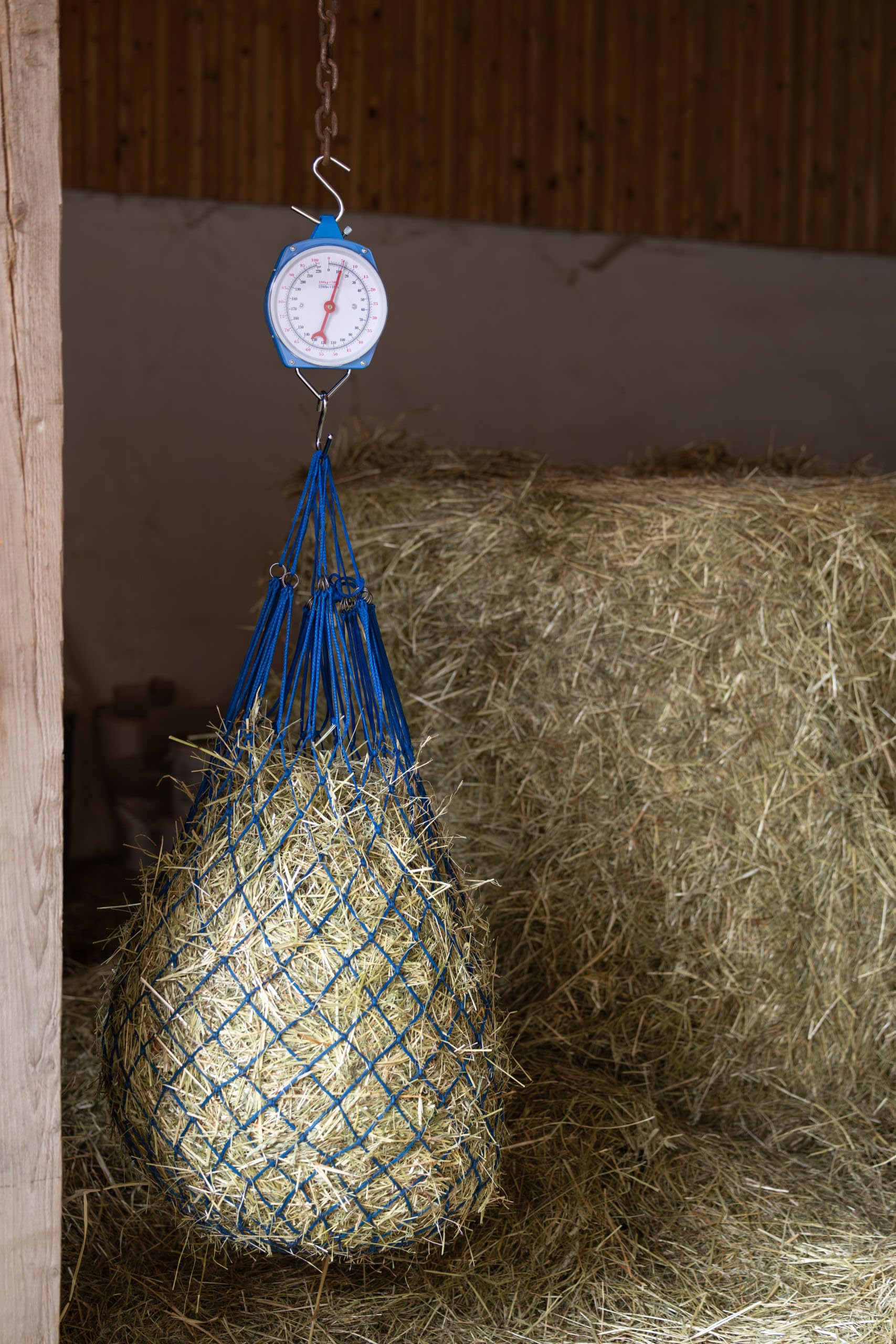 Peson 50 kg, bleu - calcul rapide manuel poids - 291412