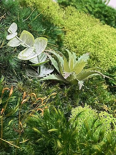 Miniatura 4 de Luxury Round Framed with Light Green Moss Art Luxury Vertical Garden Wall Designed Home Decor Office Commercial