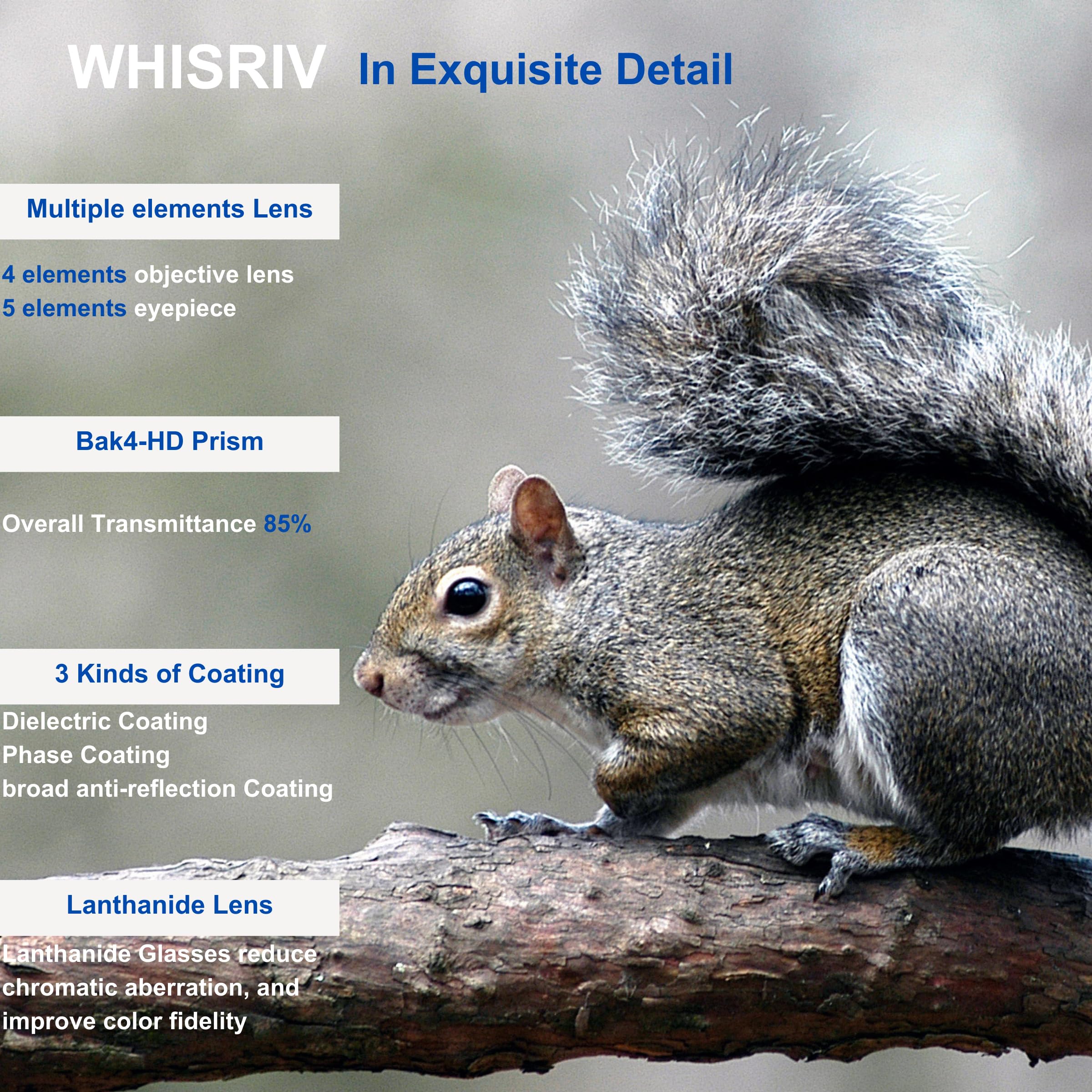 WHISRIV 8x42 HD Fernglas – Mit Bak-4 Prisma, ED-Linsen, Wasserdicht & Beschlagfrei – Ideal Für Vogelbeobachtung, Jagd Und Reisen