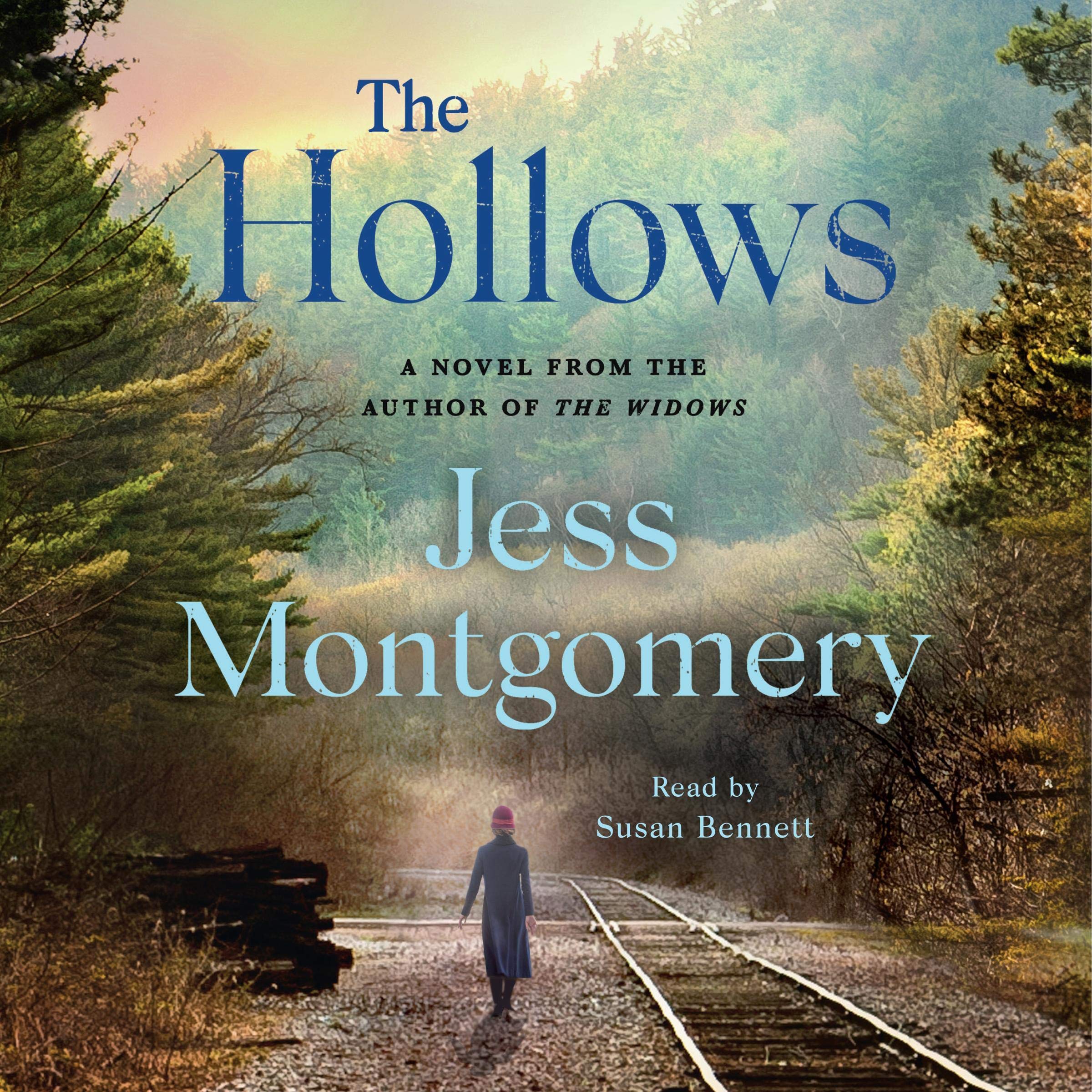 Cover art for The Hollows