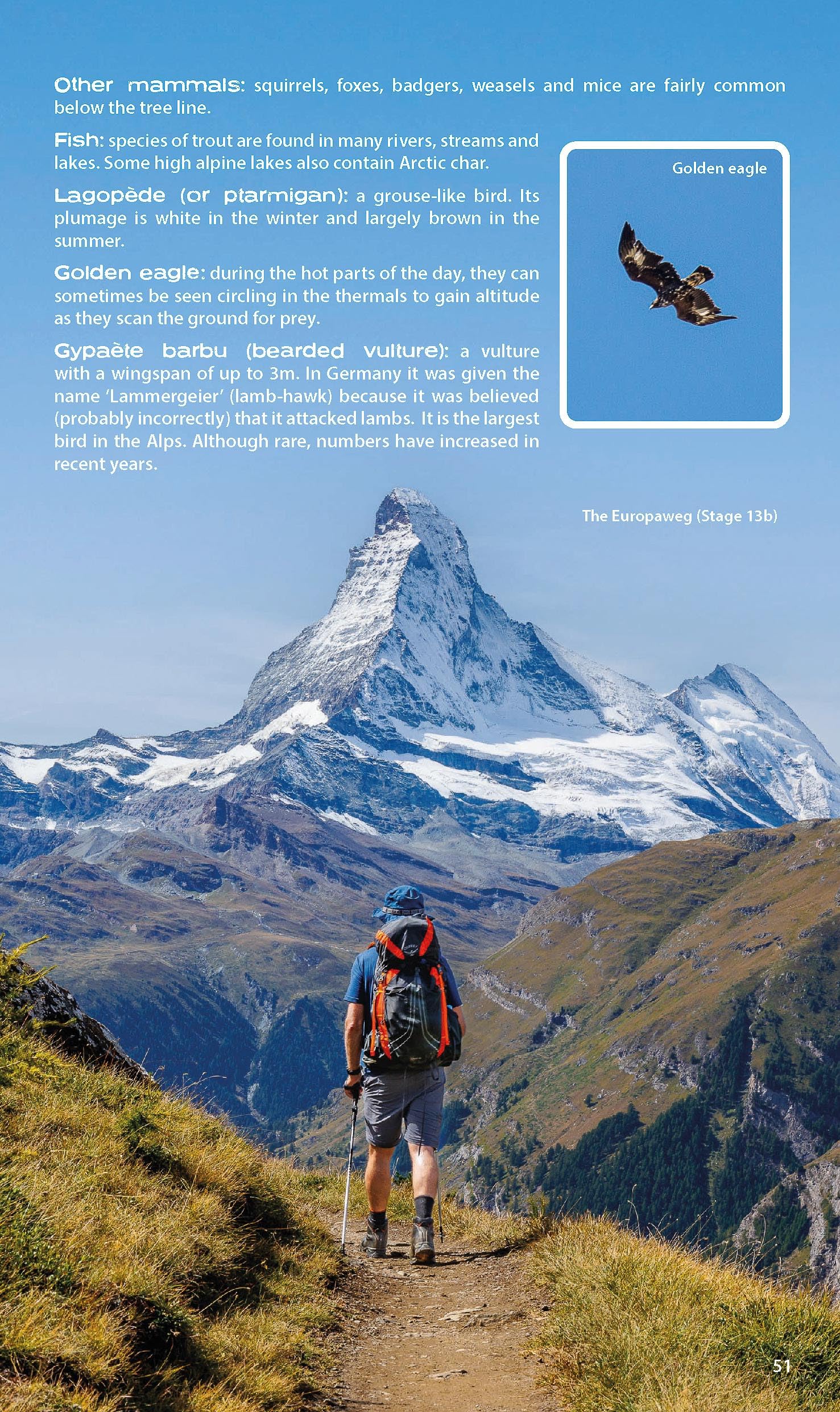 Trekking the Walker's Haute Route: Chamonix to Zermatt (2025)