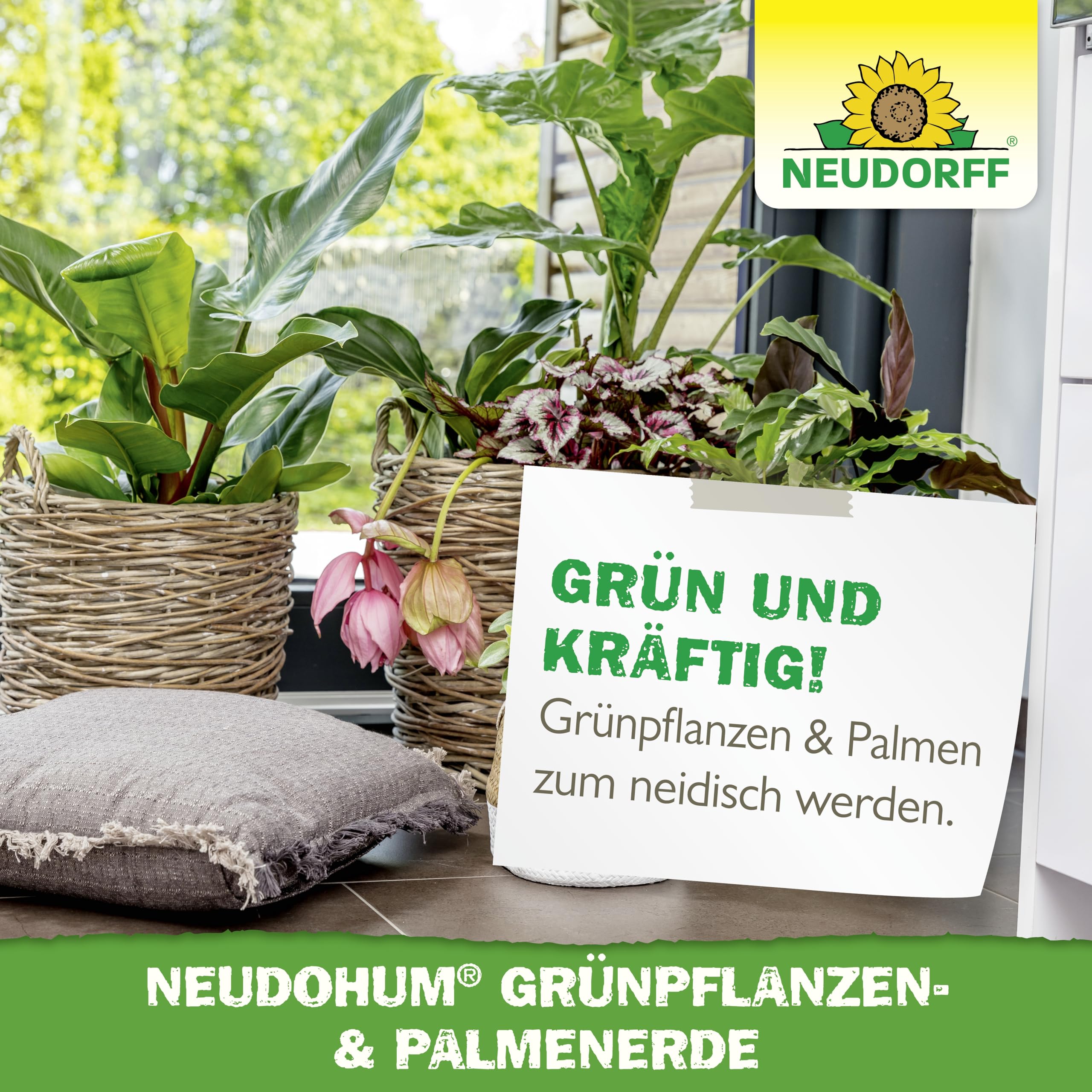Neudorff NeudoHum Grnpflanzen und Palmenerde 3 Liter - Torffreie Bio Erde  fr Palmen - Monstera Erde ohne Torf frdert gesunde Zimmerpflanzen mit  grnen Blttern - 100% vegan : Amazon.de: Garten