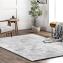 nuLOOM Loni Solid Machine Washable Shag Accent Rug, 2x3, Light Gray