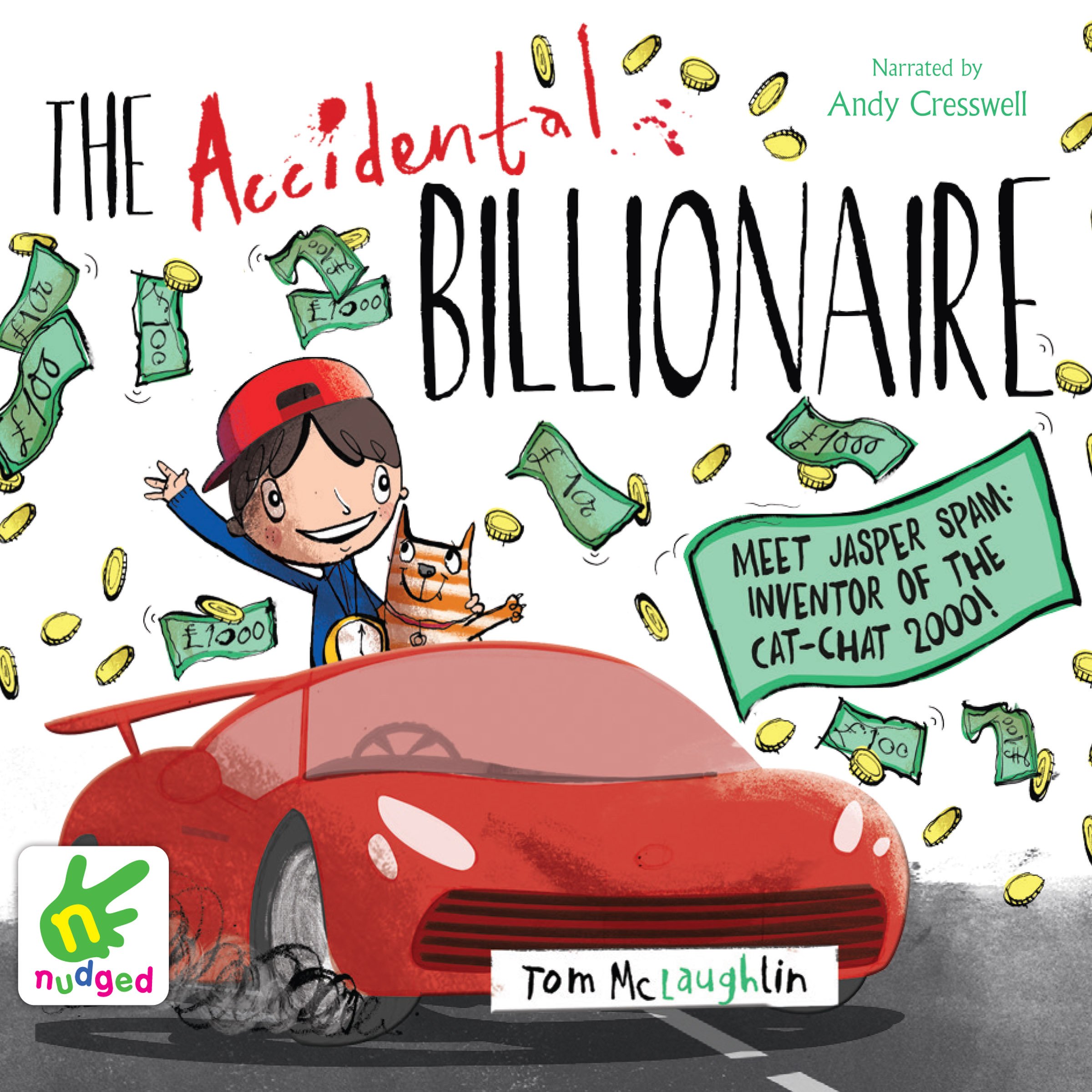 Cover art for The Accidental Billionaire