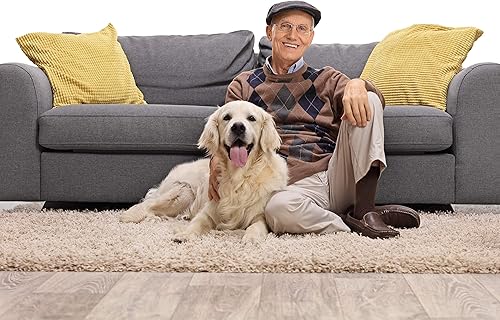 Miniatura 6 de Elegant Comfort Lujoso más suave, colección Shaggy - Alfombras de interior modernas, esponjosas y esponjosas para sala de estar, dormitorio de