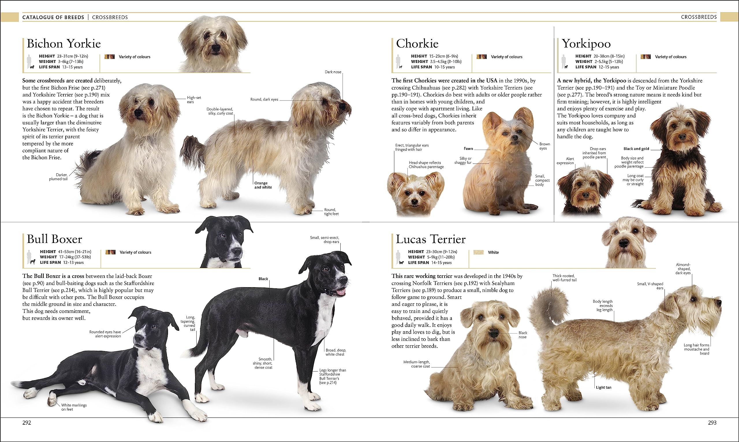 The Dog Encyclopedia: The Definitive Visual Guide