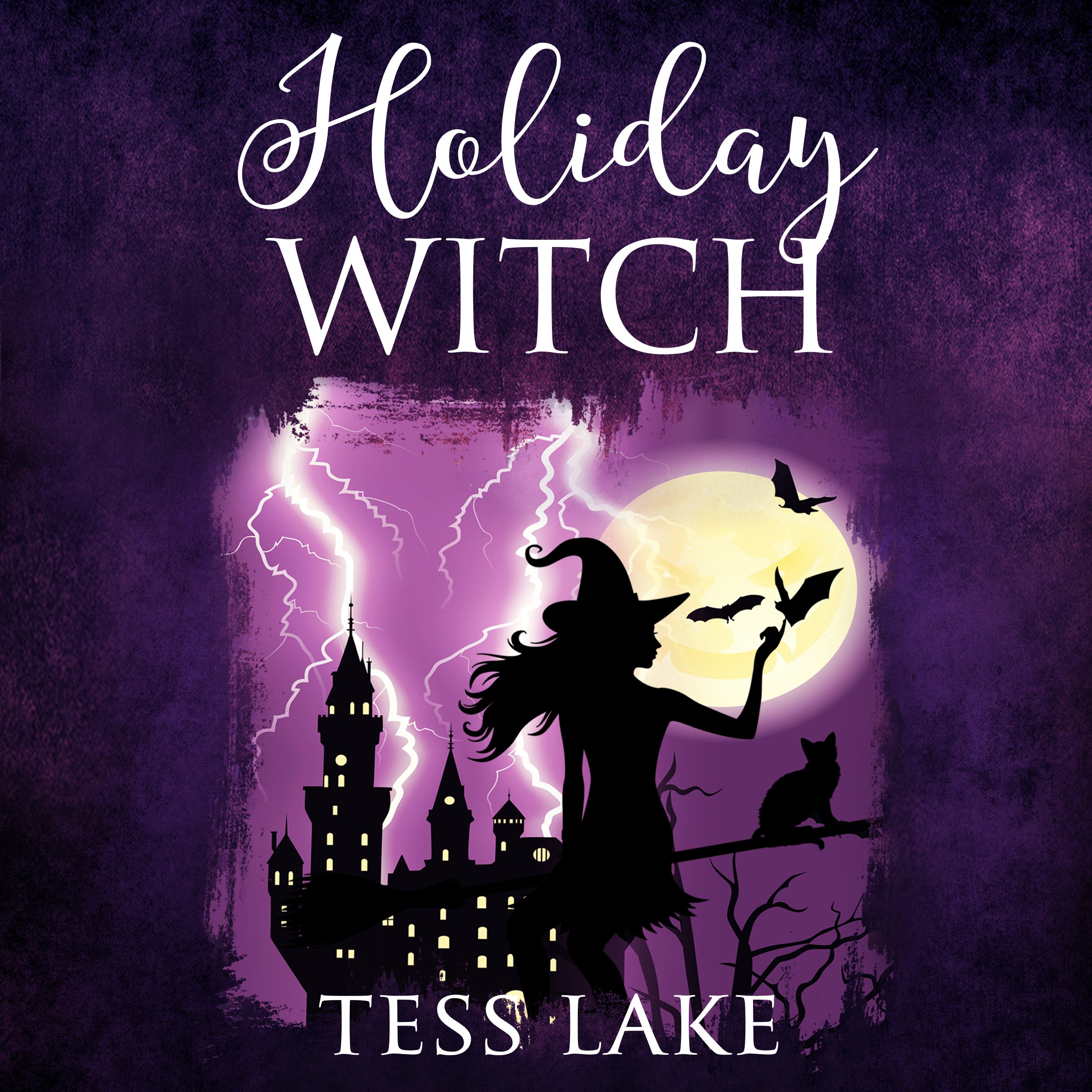 Cover art for Holiday Witch