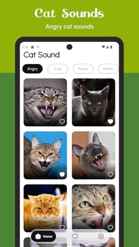 Cat Sounds: Meows, Purrs, and Kitty Calls