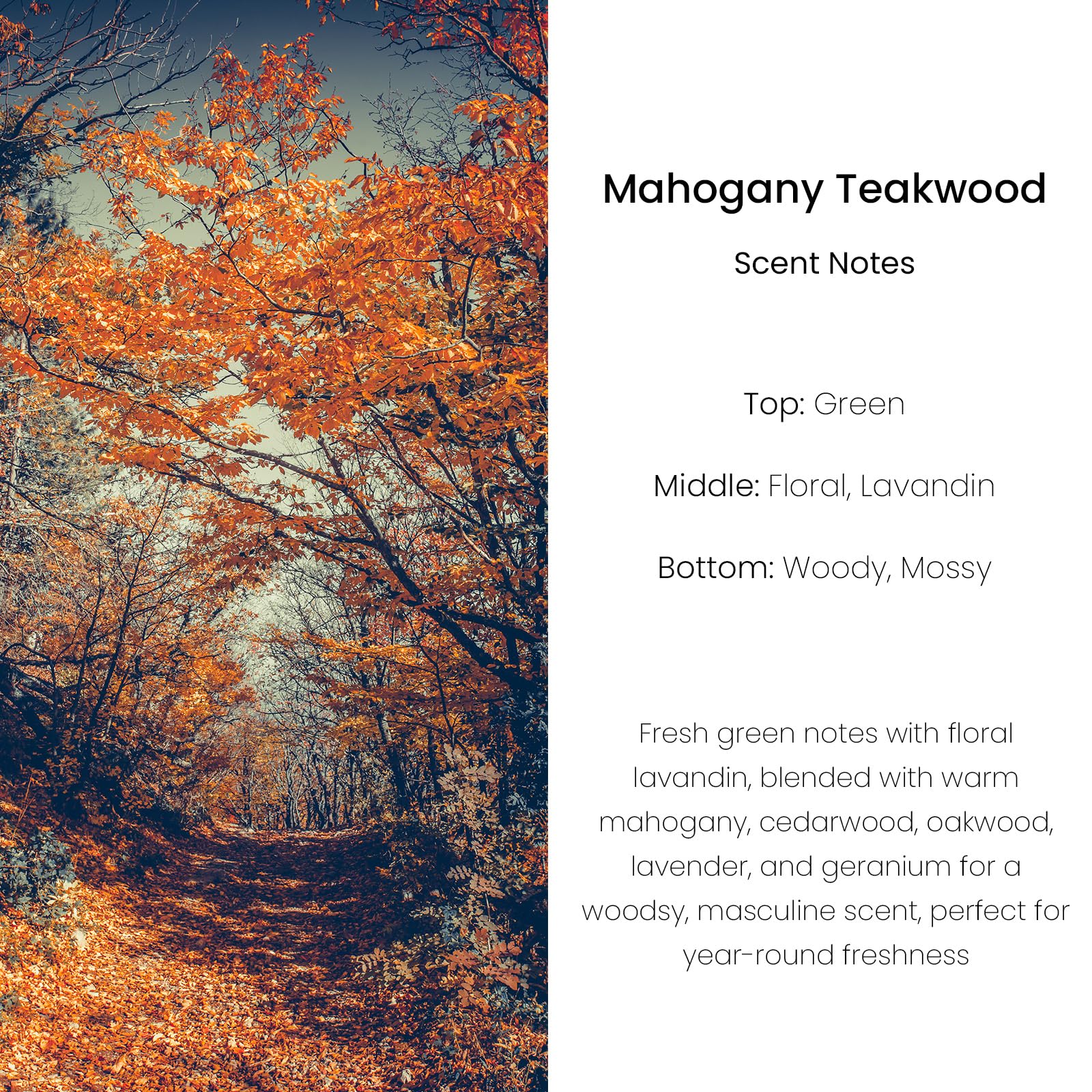 Hanging Car Air Freshener, Long Lasting Scent, Cute Air Fresheners for Women, 2 Pack Non-Toxic Essential Oil Diffuser, Made in USA