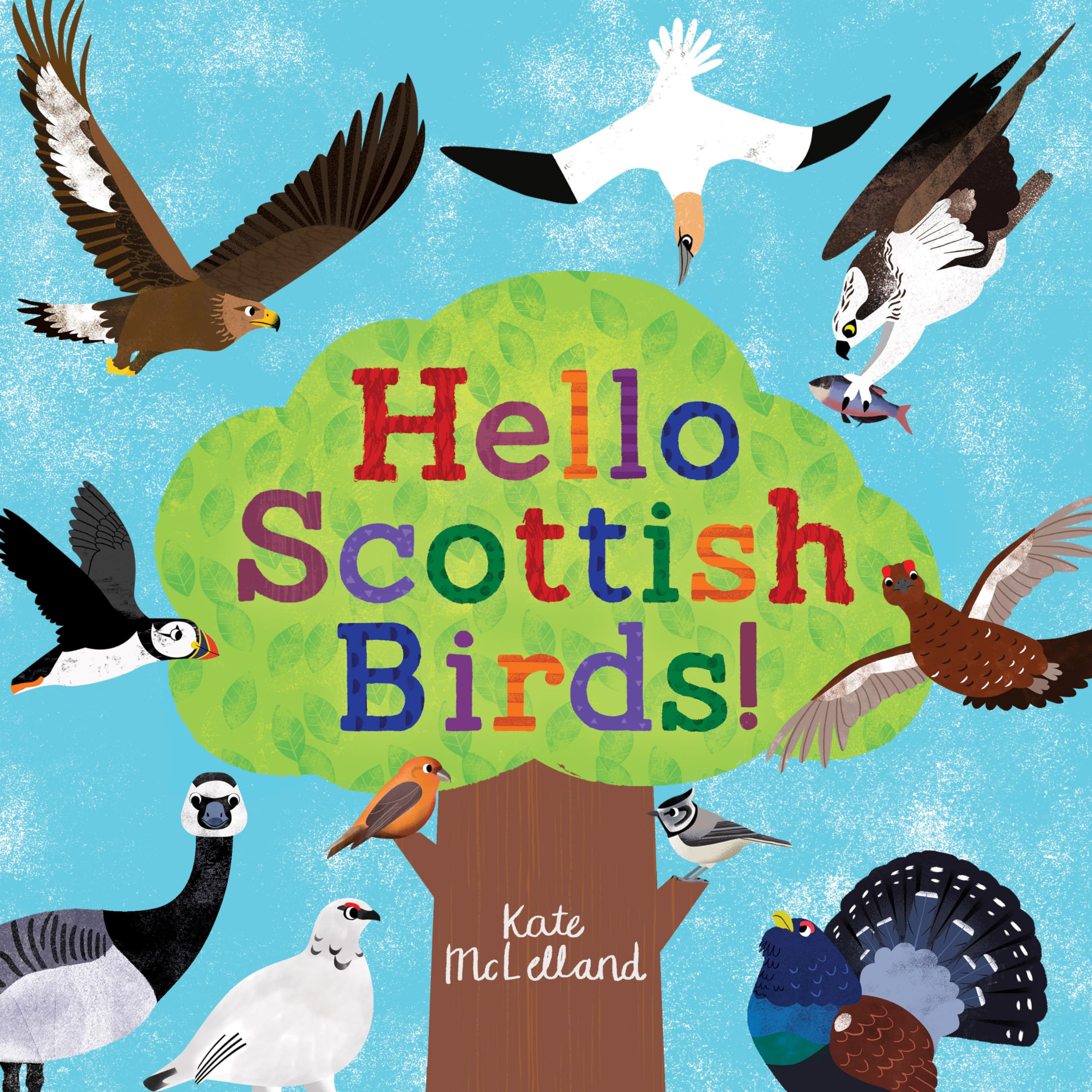 Hello Scottish Birds by Kate McLelland - 9781782508335