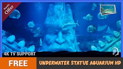 aquário de estátua subaquática grátis HD - mergulhe no mar para desfrutar de um lindo aquário em sua