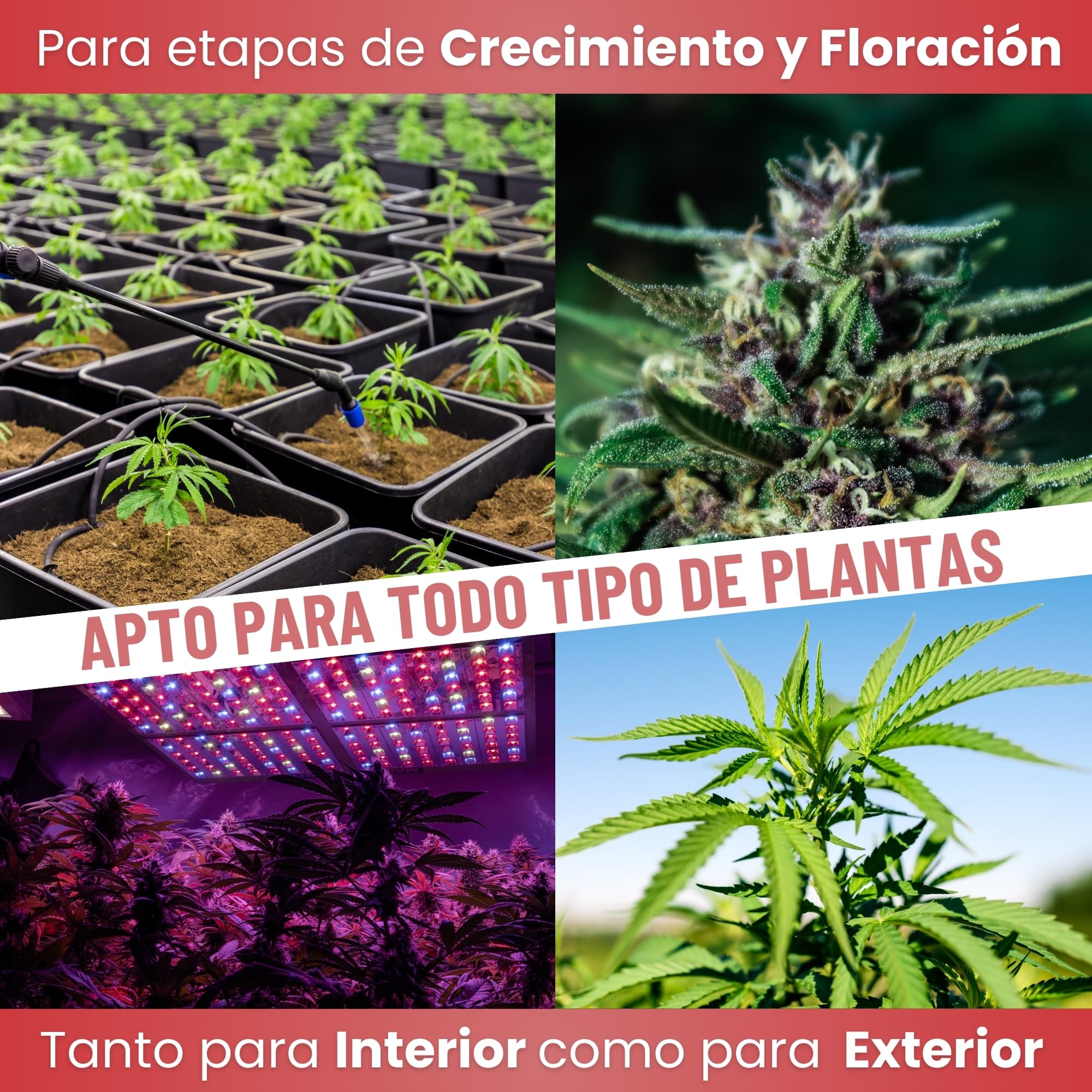 MADAME GROW Kit Kamala 3 x 250ml | Pack Fertilizantes Crecimiento Antiestrés y Engorde | Enraizante + Jabón Potásico + Engordador K30 | Pack 3 Abonos Orgánicos