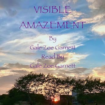 Visible Amazement Audiobook by Gale Zoë Garnett episode artwork