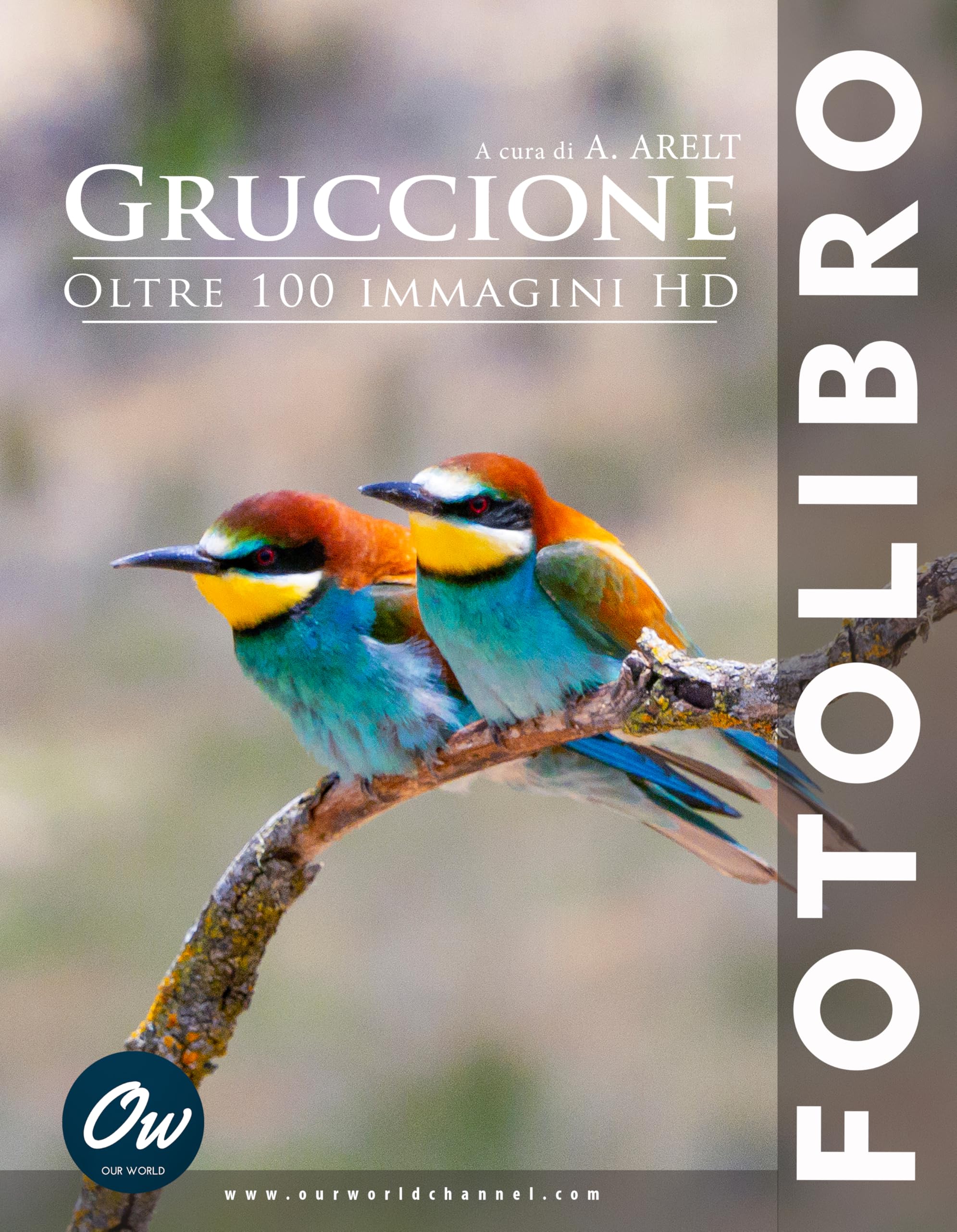 Gruccione fotolibro cadeau idéal esthète passionné photographie italie