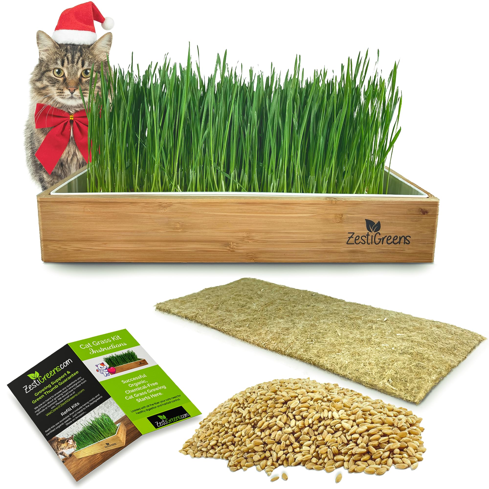Self-Watering Cat Grass Kit. Hands Down The Easiest Way to Grow Cat Grass. Includes Everything for a Big, Healthy Crop.