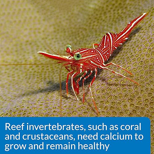 Vista 48 de API Test de gH y KH Kit Acuario de Agua Dulce Kit de prueba de agua