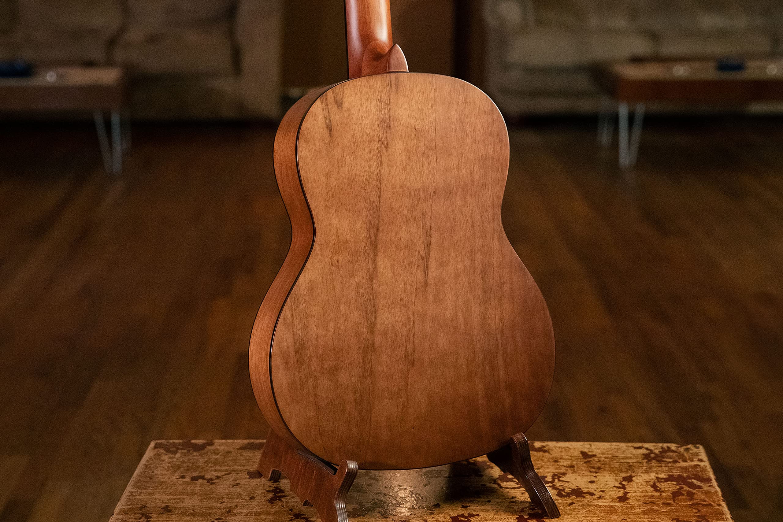 Ortega Guitars Family Series Pro Chitarra Acustica, 6 Corde, Finitura Semilucida, Catalpa