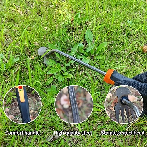 Miniatura 6 de XIAONAN Herramienta de desmalezas, herramienta de extracción de malezas de jardín con mango, herramienta manual de desbrozadora manual de 4 dientes,