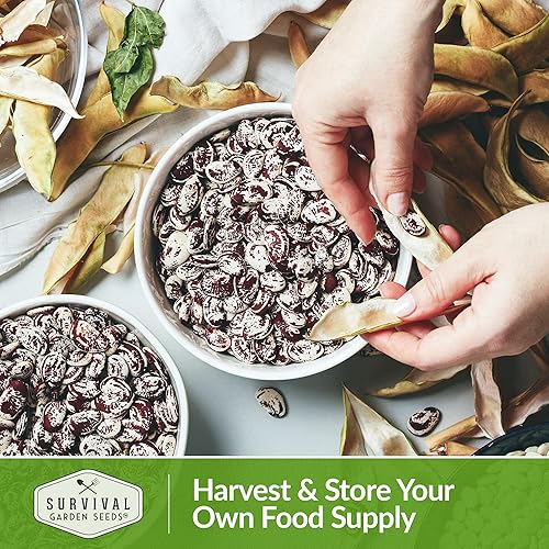 Miniatura 5 de Survival Garden Seeds - Jackson Wonder Lima Seed para plantar - Paquete con instrucciones para plantar y cultivar frijoles de mantequilla moteados