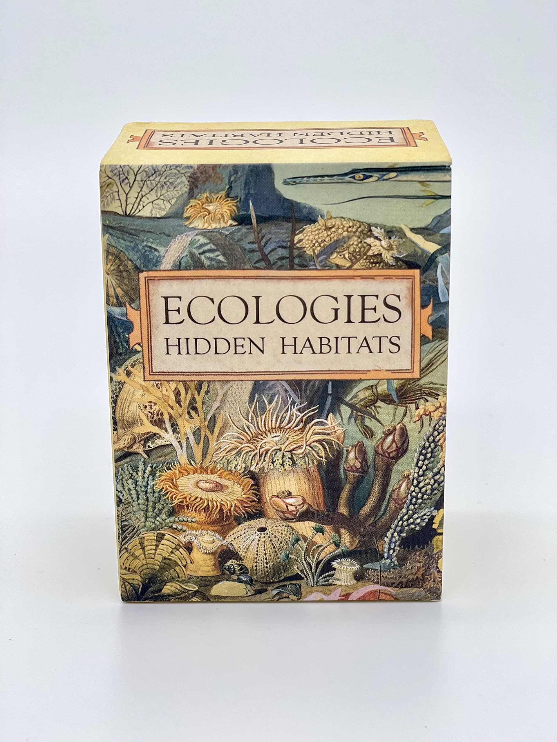 Ecologies: Hidden Habitats - Use Science to Build Food Webs in 7 Biomes - Beautiful Vintage Nature Art for The Classroom or Game Night