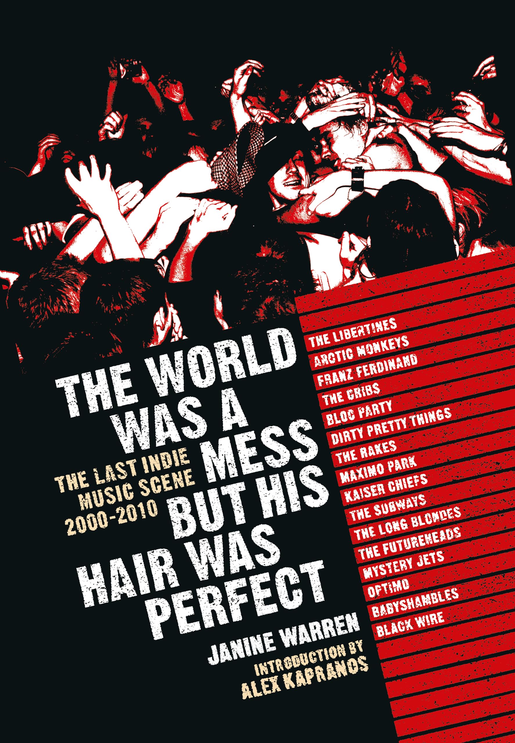 The World Was a Mess But His Hair Was Perfect: The Last Indie Music Scene 2000-2010
