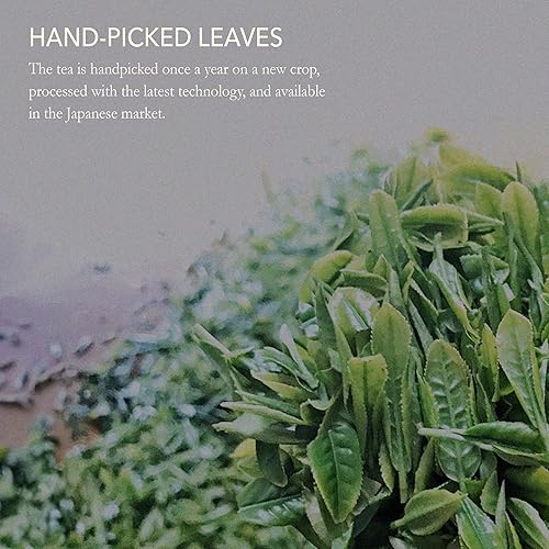 Miniatura 8 de Juego de té Gyokuro, Issaku, Gokuzyo Aracha y bolsita de té de Japanese Green Tea Co  Surtido de té verde japonés de primera calidad  Sin OMG, sabor