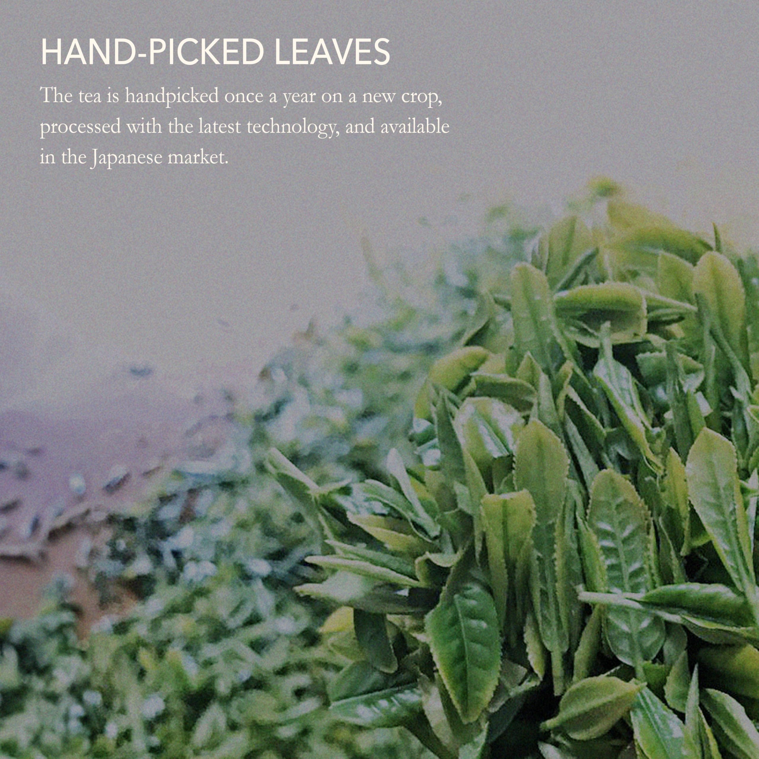 Matcha Gyokuro Issaku Nozomi Ultimate Tea Assortment from Japanese Green Tea Co Single Origin and Natural Pure Leaf — view 9