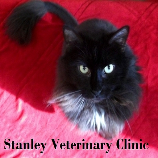 Stanley Vet Clinic App on Amazon Appstore