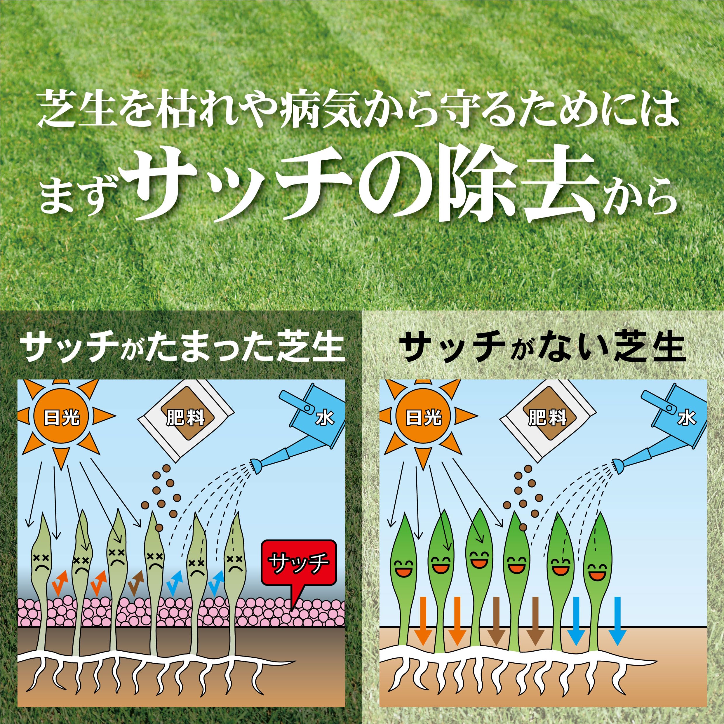 Amazon.co.jp: キンボシ(Kinboshi) ゴールデンスター 電動 芝生手入れ