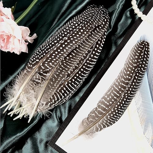 Miniatura 5 de THARAHT 24 plumas naturales manchadas de alas de aves de Guinea de 6 a 8 pulgadas a granel para manualidades, ropa, joyería, decoración de