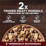 Purina ONE True Instinct Dry Dog Food, Chicken & Duck - 6 kg Bag (1 Pack)