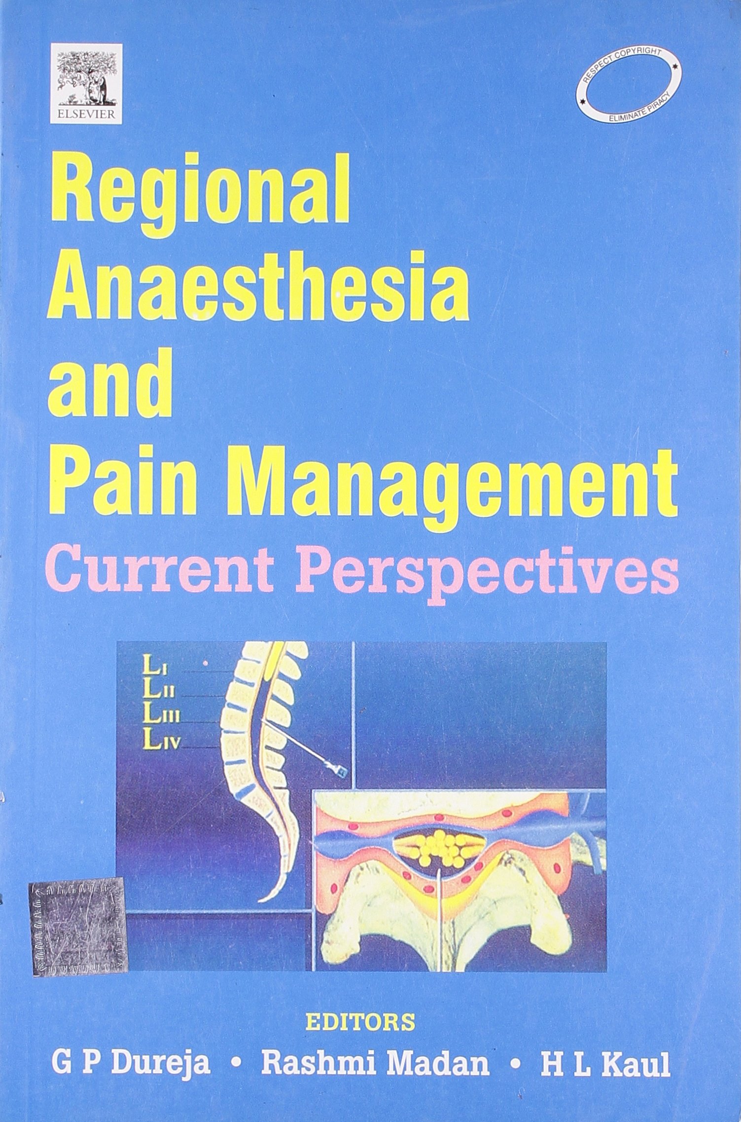 Buy Regional Anaesthesia and Pain Management: Current