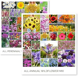 Eden Wildflower Seed Bundle - Pollinator Friendly