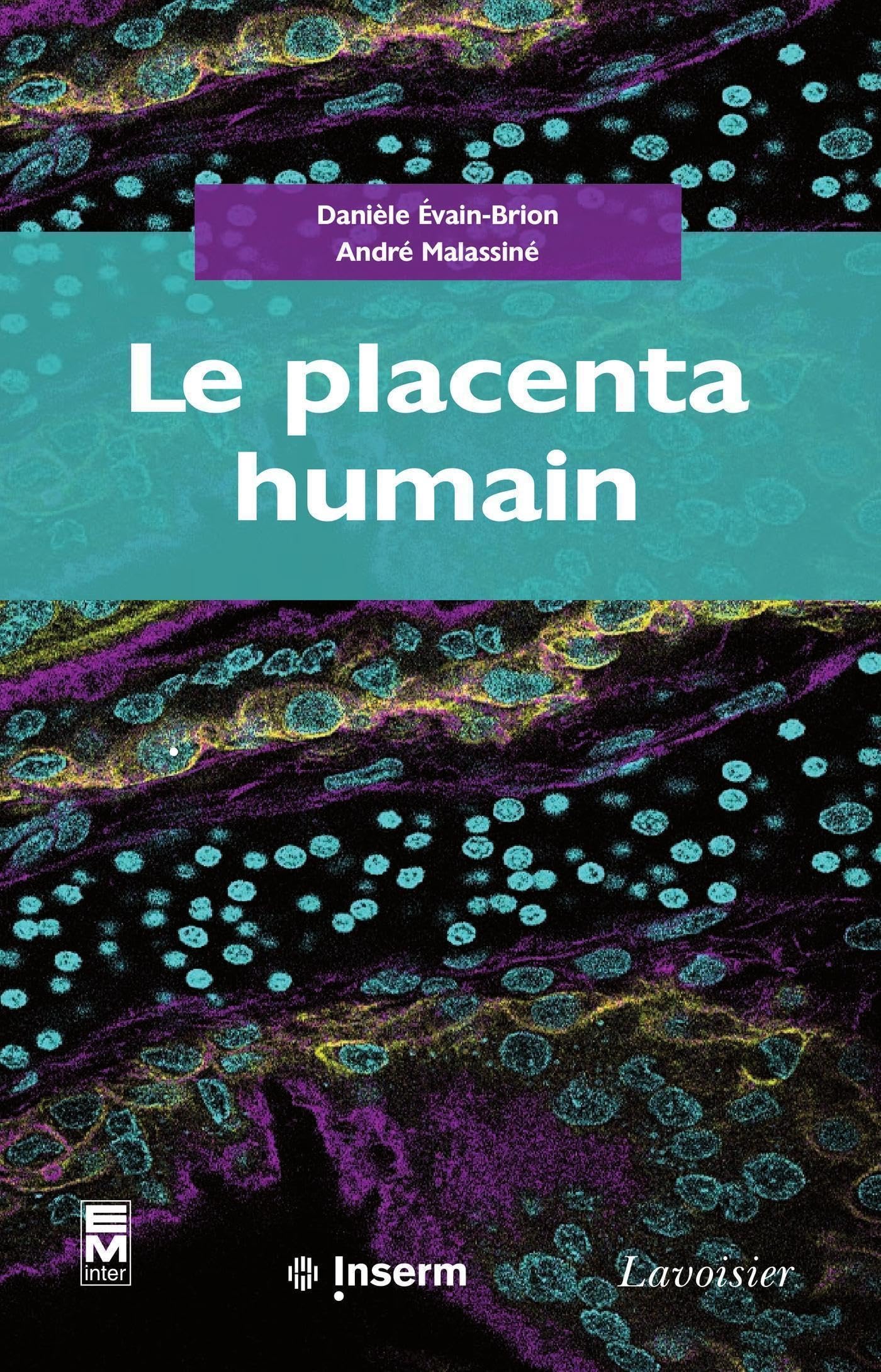 Le placenta humain pour valider vos tests de perméabilité sans recourir aux modèles animaux