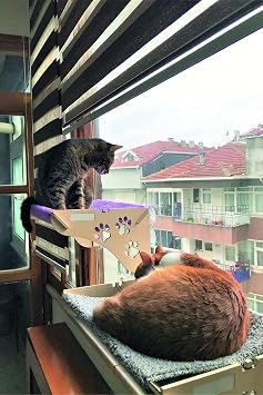 ATA HOME Cat Bed Hanging on Glass With Suction Cup