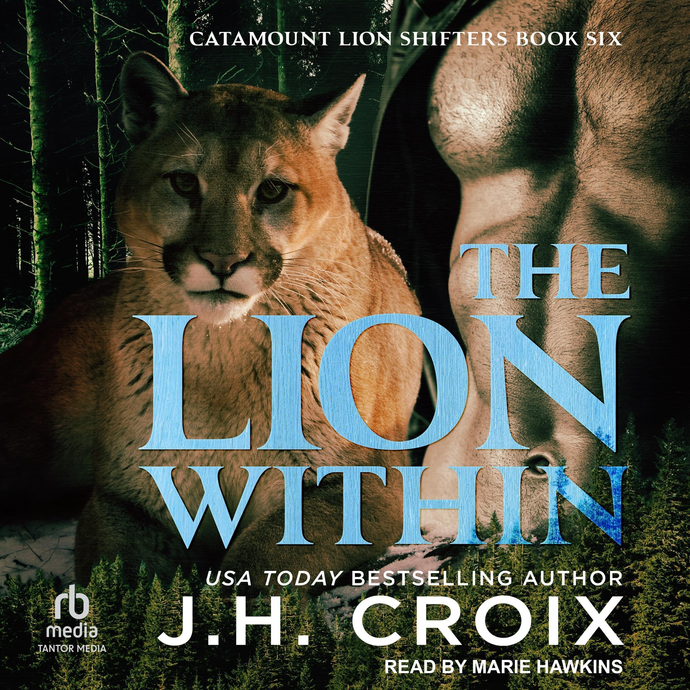 Cover art for The Lion Within