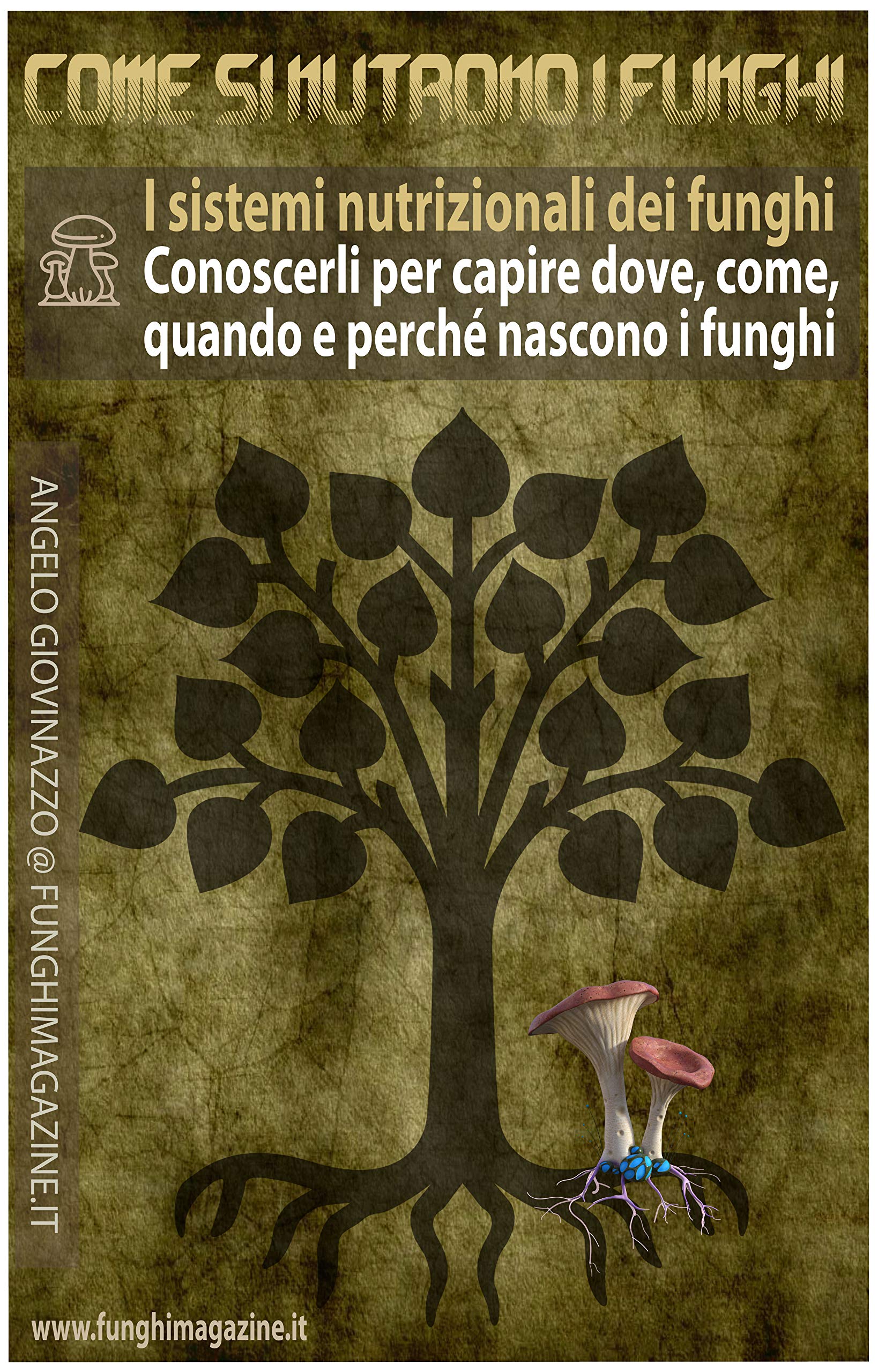 I sistemi nutrizionali dei funghi: Conoscerli per capire dove, come, quando e perché nascono i funghi (Manuali sui funghi Vol. 2) (Italian Edition)