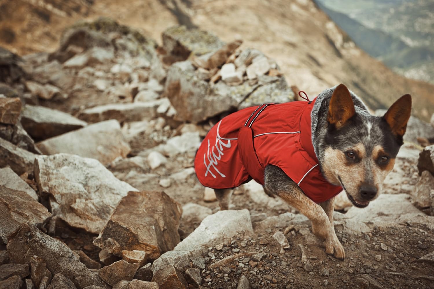 Hurtta Pet Collection 16-Inch Winter Jacket, Red