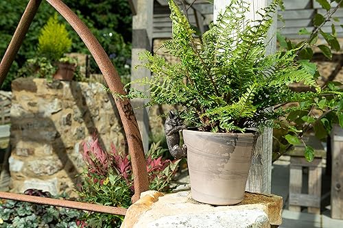 Miniatura 8 de French Bulldog Pot Buddy - Colgador decorativo para macetas