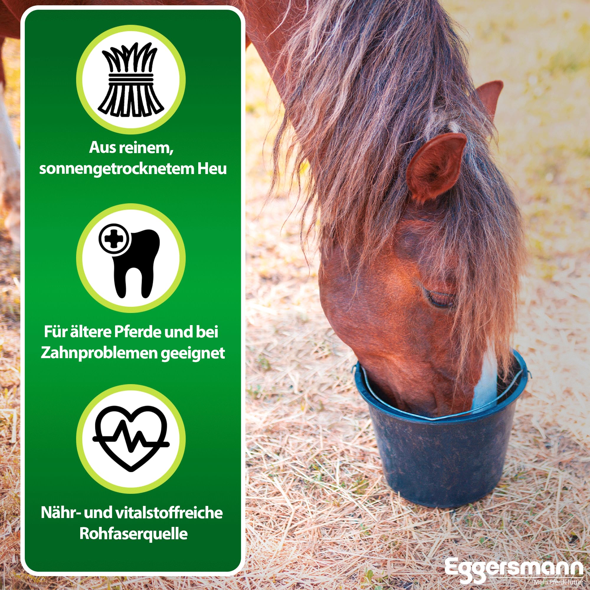 Eggersmann Mein Pferdefutter EMH Heu Cubes 20 kg - Raufutter aus sonnengetrocknetem Heu ideal als kompletter Heuersatz für Pferde & Ponys - Pferdefutter ideal bei Zahnproblemen - Deutsche Herstellung
