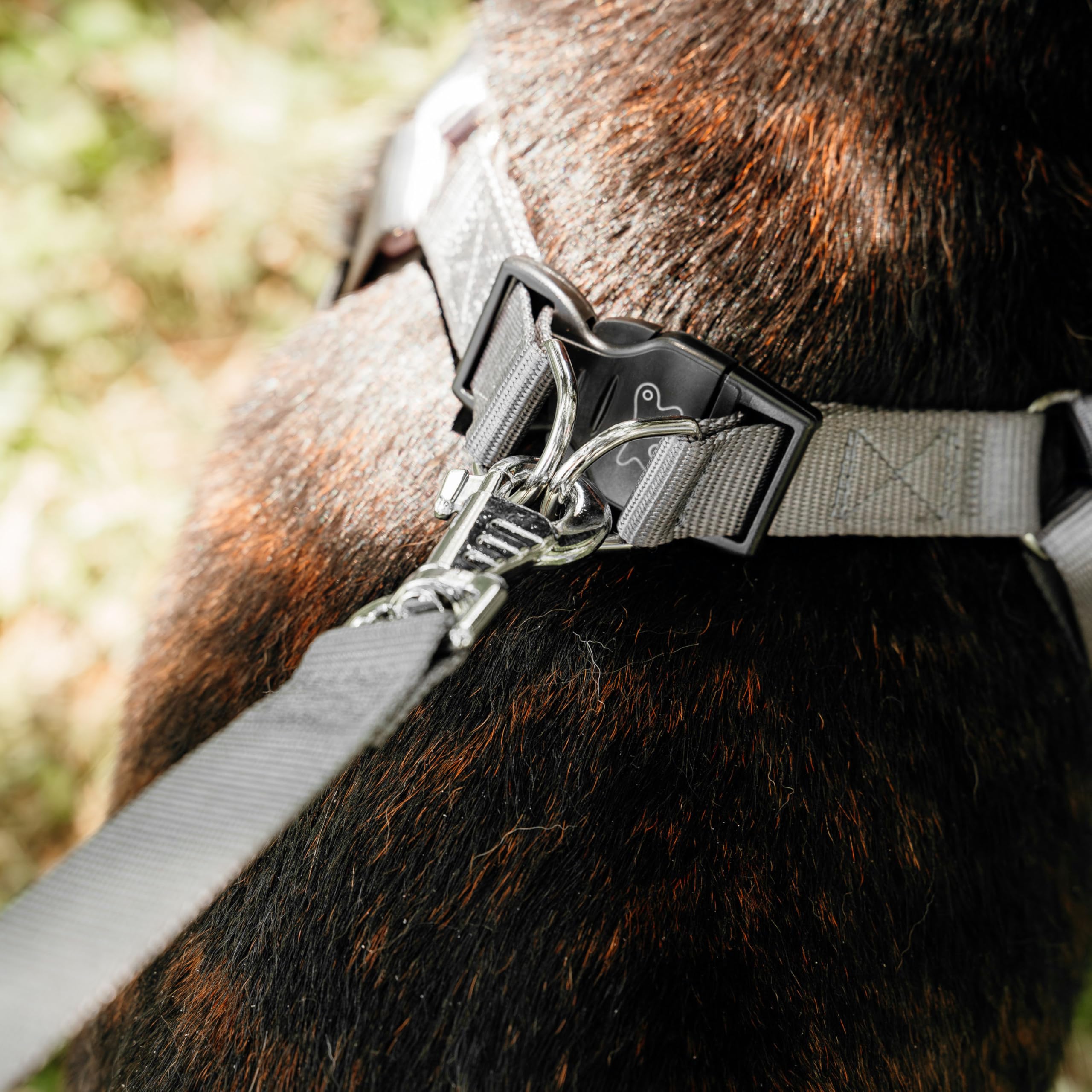 Ferplast Dog Harness DAYTONA, Large Dog Harness, Padded, Adjustable, Grey, Dogs chest: 88-100 cm - Image 3