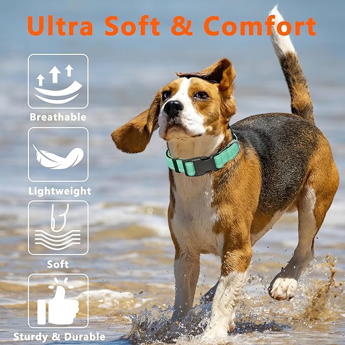 Collar Reflectante Perro Seyezo Nailon Ajustable Pequeño miniatura 6