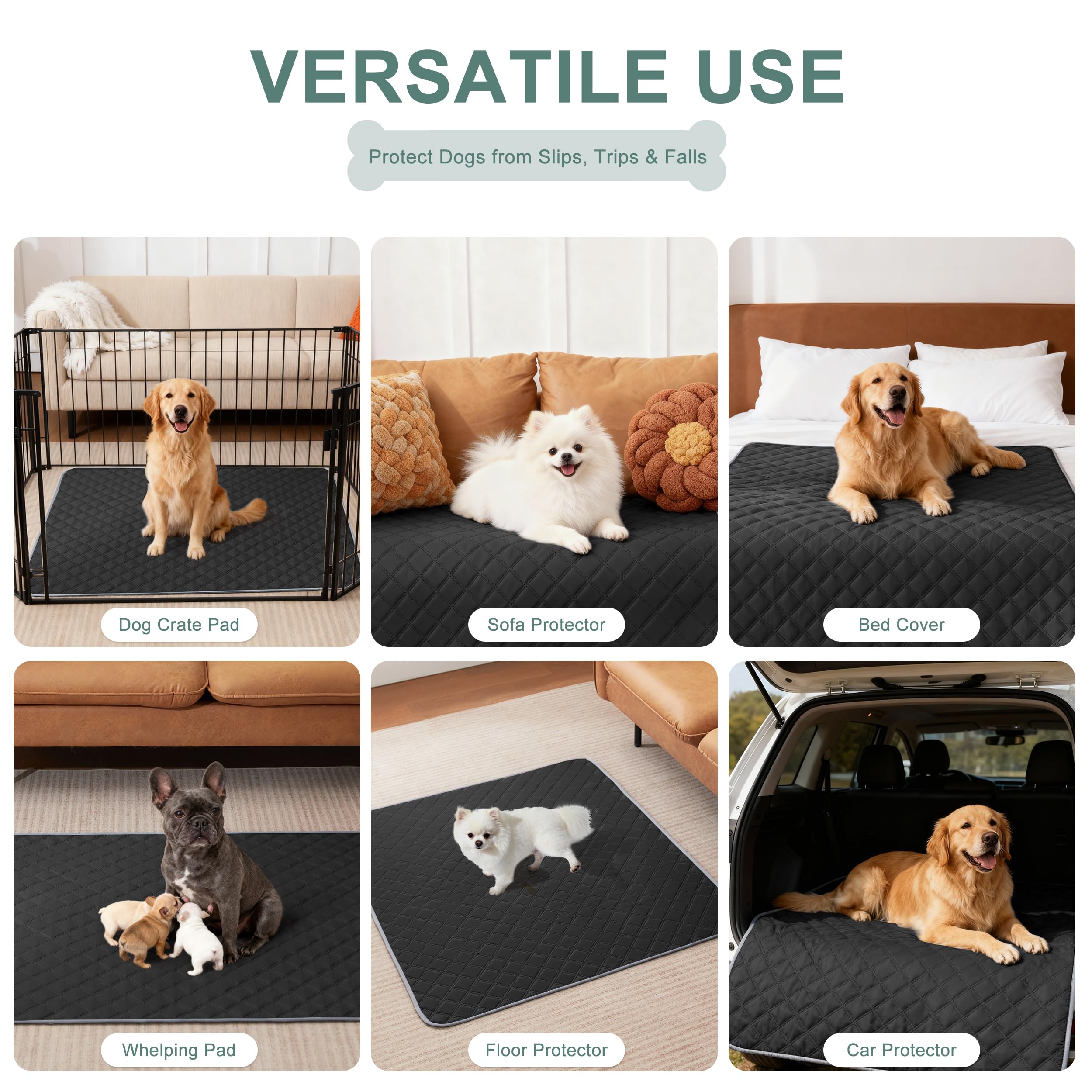 View 6