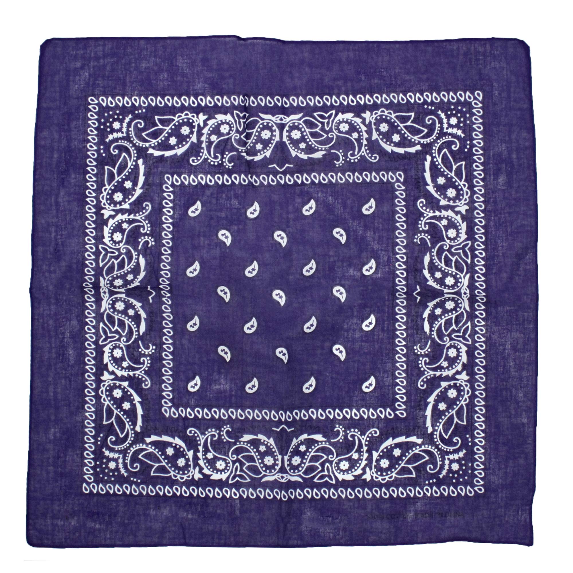Zac's Alter Ego Retro Vintage Style Cowboy Paisley Bandana/Neckerchief/Durag