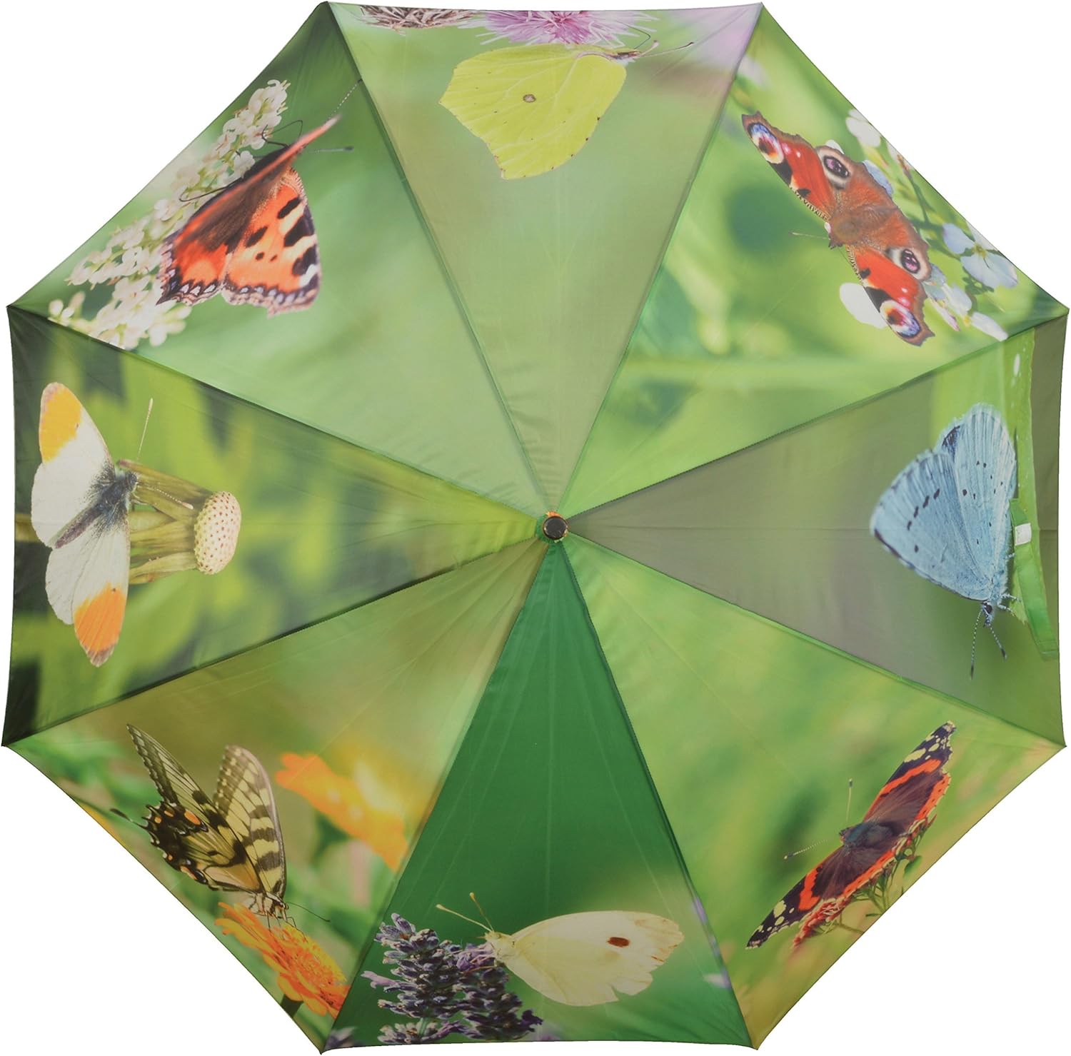 Esschert Photo Print Umbrella Butterflies Design Polyester Apparel Accessories