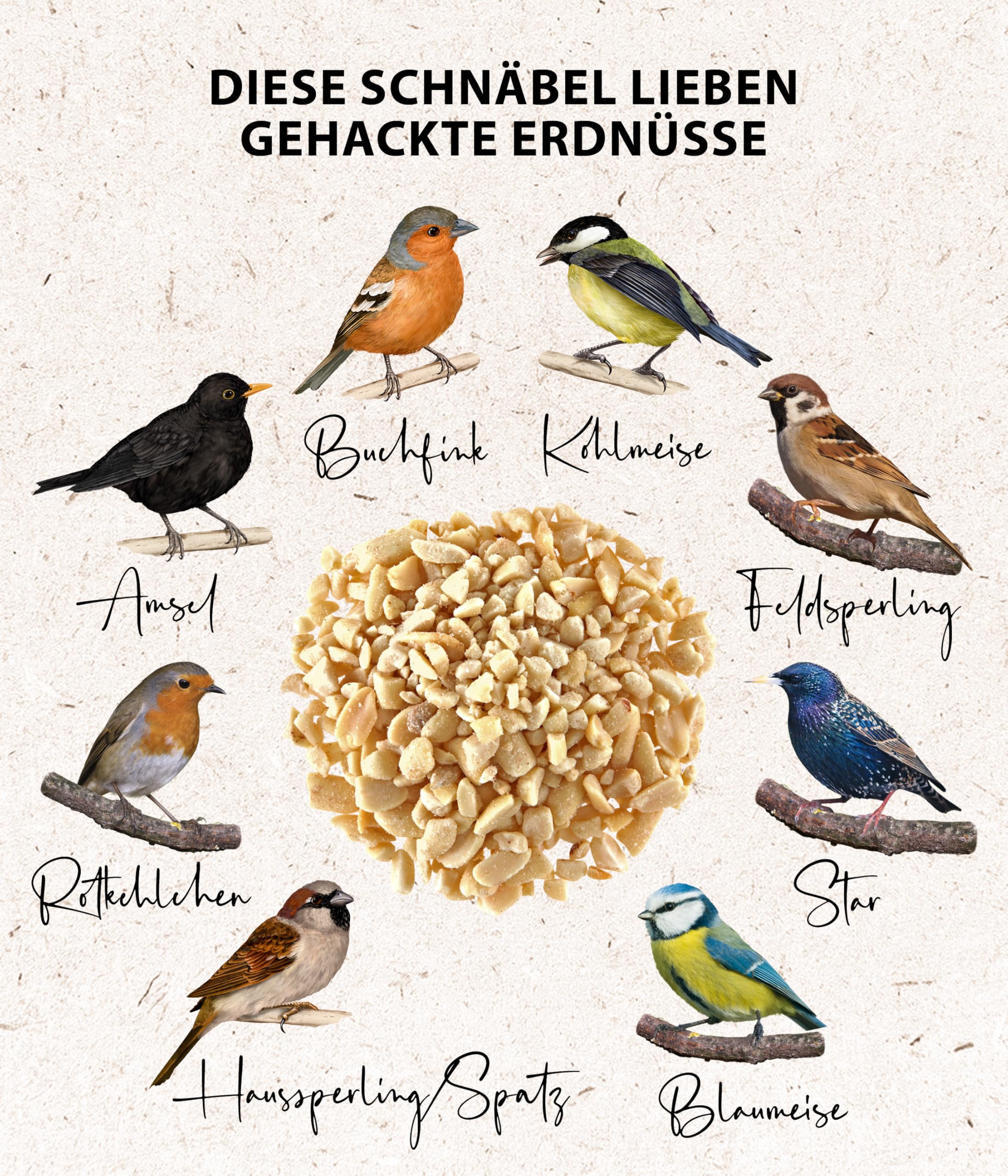 Dehner Natura Premium Wildvogelfutter, gehackte Erdnüsse schalenfrei, Ganzjahresfutter proteinreich / energiereich, hochwertiges Vogelfutter für Wildvögel, 5 kg