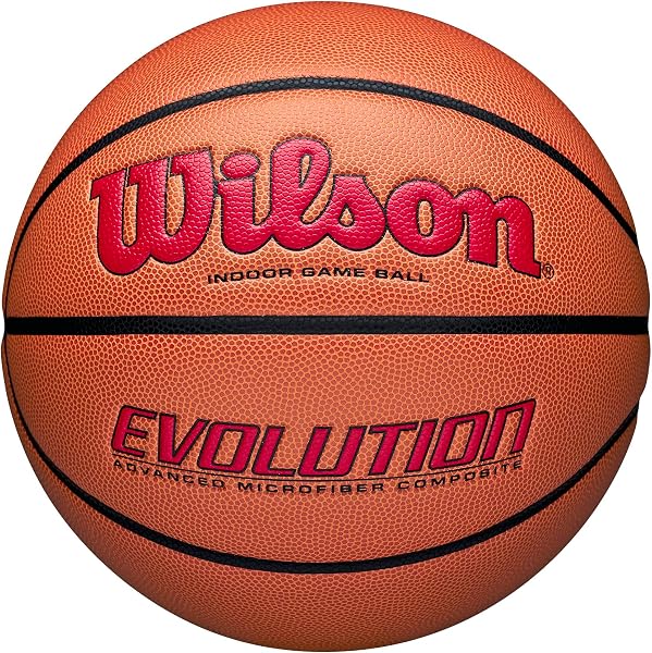 Wilson Evolution Indoor Basketball 6
