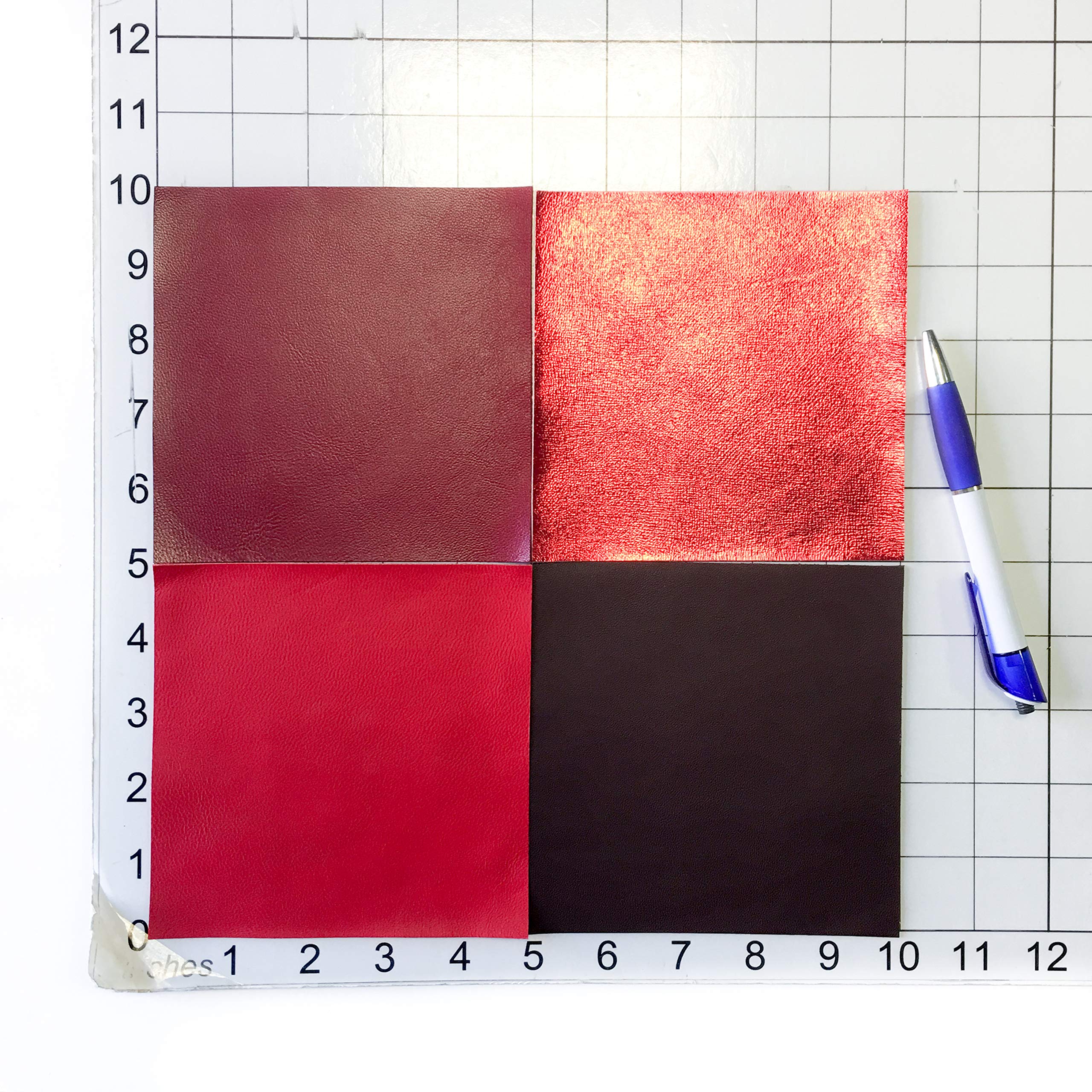 Juego de piel familiar (rojo, 12 x 12 cm)