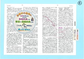 法律学小辞典〔第6版〕 (単行本) | 高橋 和之, 伊藤 眞, 小早川 光郎